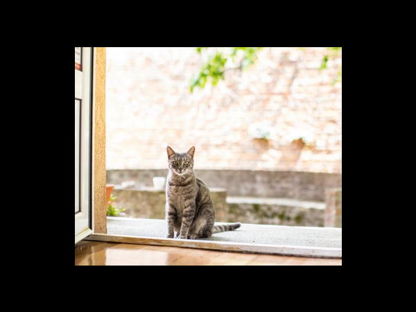 برنامج تعليم البرمجة (الجزء التاني)